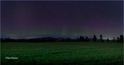  Aurora -this was taken on the third night after the huge display. Had to try one more time. This is pretty weak. 