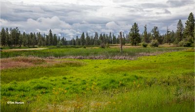 Turnbull NWR