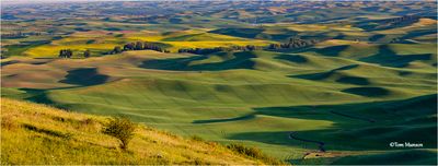 Palouse-Steptoe Butte