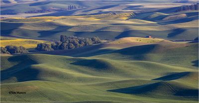 Palouse -Steptoe Butte