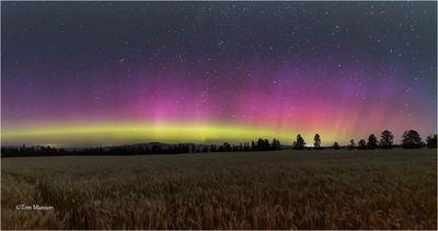 Northern Lights