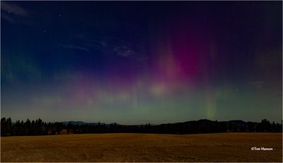 Northern Lights- the full moon didn't help
