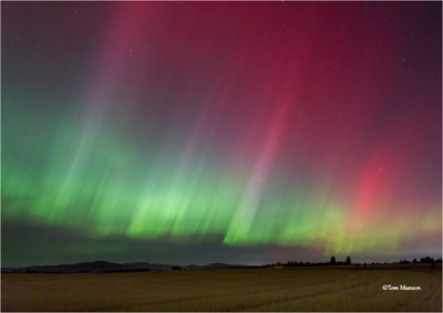 Northern Lights