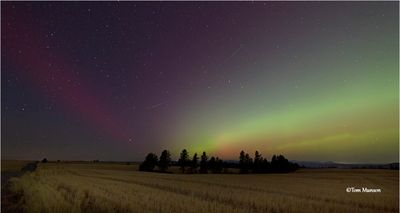 Northern Lights