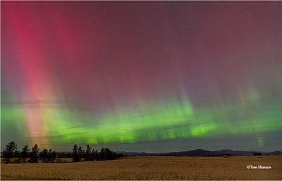 Northern Lights-another amazing night, that makes two this week.