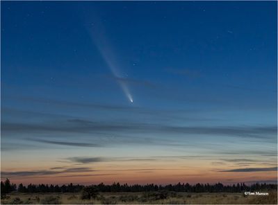Comet C/2023 A3 Tsuchinshan-ATLAS