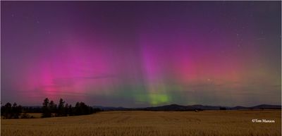 Northern Lights