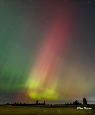 Northern Lights