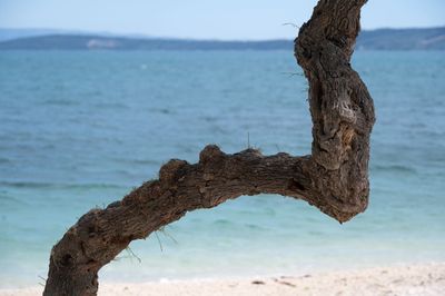 Kroatie_0896.jpg