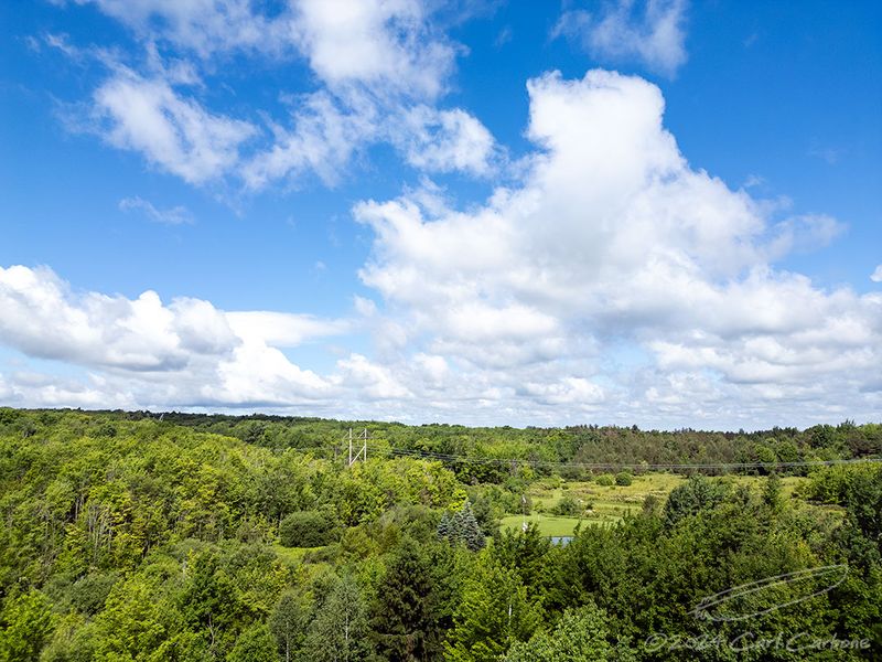 06/09/2024 - DJI_0398.jpg