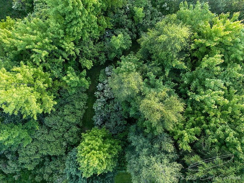 06/22/2025 - DJI_0546.jpg