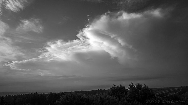 Photo-A-Day 2025