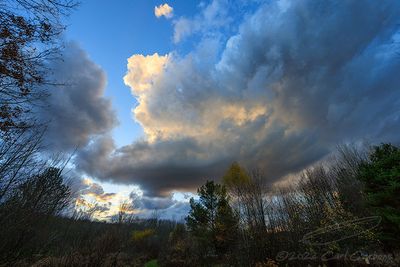 11/06/2022 - _42A7623.jpg