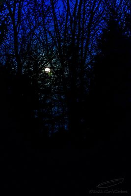 11/07/2022 -_42A7628.jpg