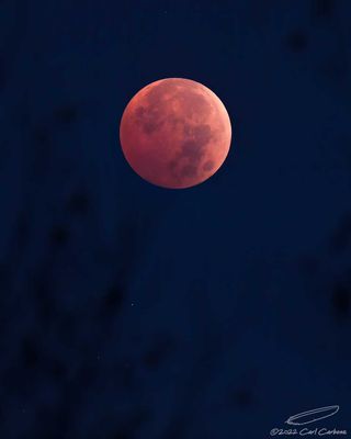 11/08/2022 - _42A7648.jpg