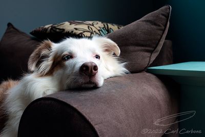 11/12/2022 - _42A7688.jpg