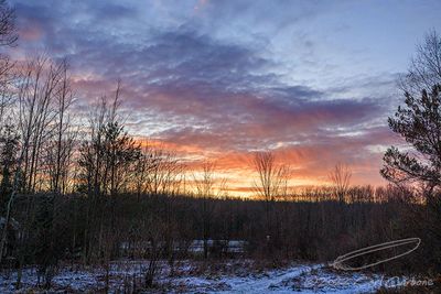 12/14/2022 - _42A8162.jpg
