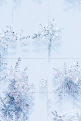 g13/97/543097/3/173262165.9aee4c94.JPEG
