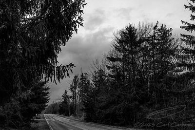 01/06/2023 - _42A8330.jpg