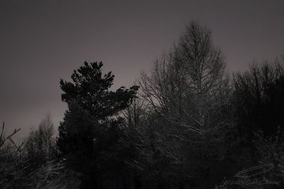 01/22/2023 - LRM-182847.jpg