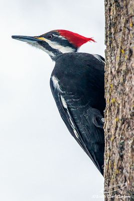 03/12/2023 - _42A2431.jpg