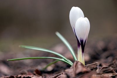 04/04/2023 - _42A9056.jpg
