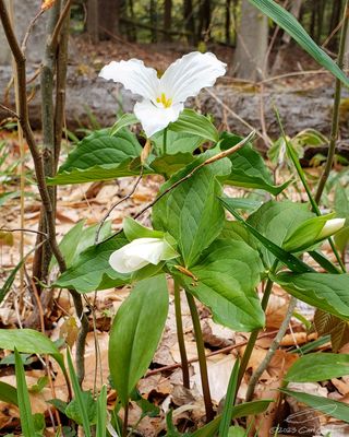 04/24/2023 - LRM-111303.jpg