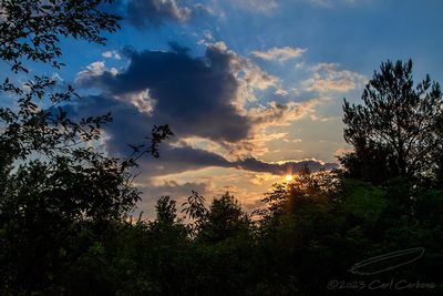 05/30/2023 - _N9A0809.jpg