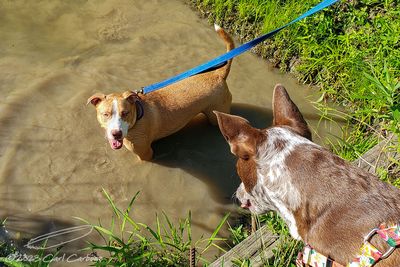 09/02/2023 - LRM-093744.jpg