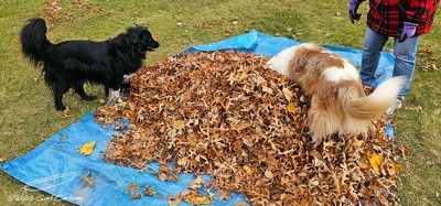 11/03/2023 - LRM-153535.jpg