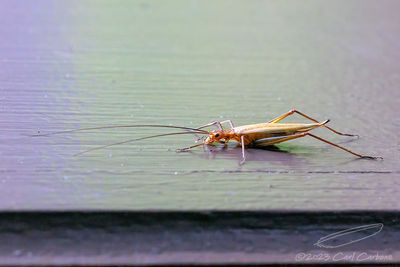 11/07/2023 - _42A4141.jpg