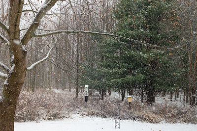 11/27/2023 - _42A4239.jpg