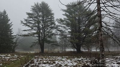 12/02/2023 - LRM-130437.jpg