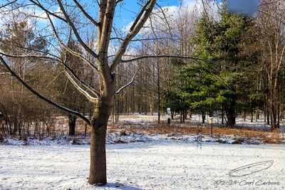 g13/97/543097/3/174253680.397a3133.JPEG