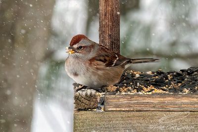 01/19/2024 - _42A4521.jpg