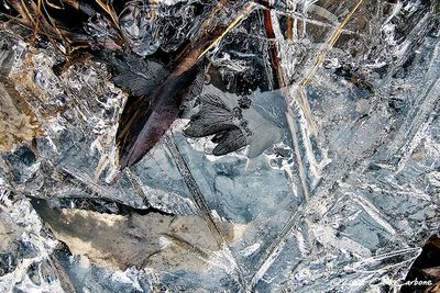 02/08/2024 - LRM-150652.jpg