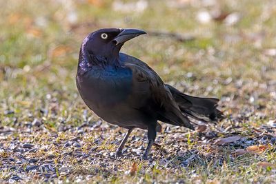 02/26/2024 - _42A4669.jpg