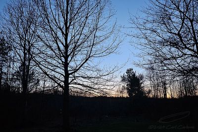 g13/97/543097/3/174461724.dfd4ff91.JPEG