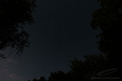 06/14/2024 - _42A6307.jpg