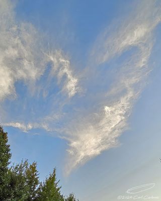 08/07/2024 - LRM-201234.jpg