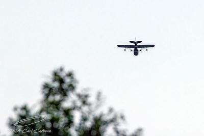 09/12/2024 - _42A8486.jpg