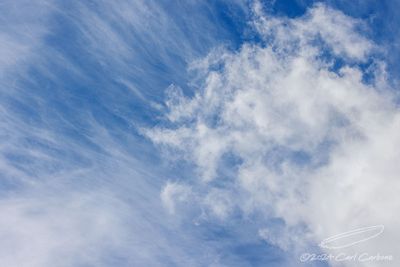 09/30/2024 - _42A8783.jpg