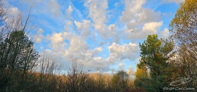 g13/97/543097/3/175016091.a5005f92.JPEG