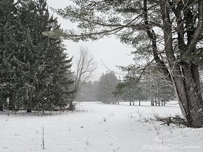 01/06/2025 - LRM-110201.jpg