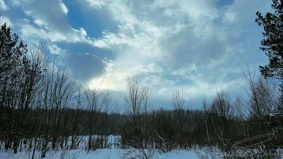 02/17/2025 - LRM-162058.jpg