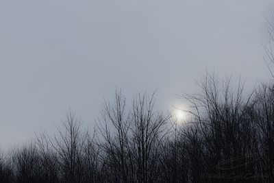 02/23/2025 - 3T7A3375.jpg