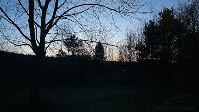 03/19/2025 - LRM-195153.jpg