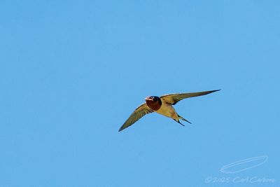 05/15/2025 - 3T7A4889.jpg