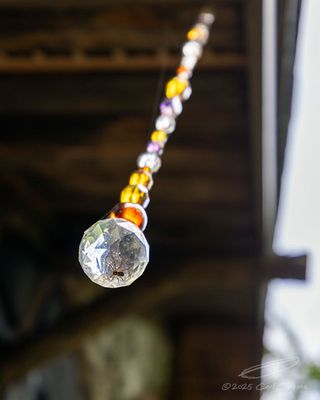 08/17/2025 - _42A1547.jpg