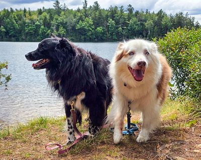 08/20/2025 - _133444.jpg